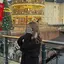 葵のプロフィール画像