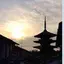 風のプロフィール画像
