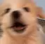 はるなのプロフィール画像