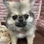 かるのプロフィール画像