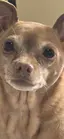 ゆきののプロフィール画像