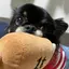 千栄のプロフィール画像