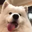 凛のプロフィール画像