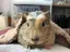 まみのプロフィール画像
