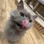 y.のプロフィール画像