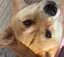 くるみのプロフィール画像