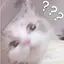ゆのプロフィール画像