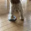ぽてとさらだのプロフィール画像
