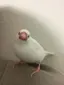 amiのプロフィール画像