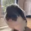 aikoのプロフィール画像