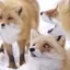 Aのプロフィール画像