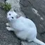 拓翔のプロフィール画像