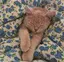 さくらのプロフィール画像