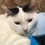 みおのプロフィール画像