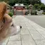 mmのプロフィール画像