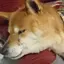 りのプロフィール画像