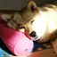さっくんのプロフィール画像