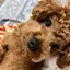 えりーのプロフィール画像