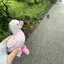 ごのプロフィール画像