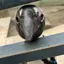 さちのプロフィール画像