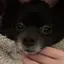 ひなピのプロフィール画像
