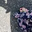 みのプロフィール画像