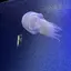 杉浦のプロフィール画像