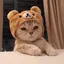 mのプロフィール画像