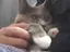 ささのプロフィール画像
