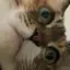 riのプロフィール画像
