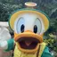 yuuのプロフィール画像