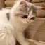 あやのプロフィール画像