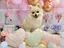 まあちゃんのプロフィール画像