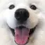 はるかのプロフィール画像