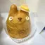 しーのプロフィール画像