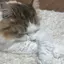 りょうかのプロフィール画像