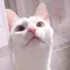 まなみのプロフィール画像