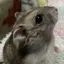 綾香のプロフィール画像