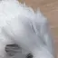 ゆずのプロフィール画像