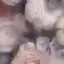 りのプロフィール画像