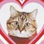 ひなたのプロフィール画像
