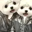 さほのプロフィール画像
