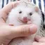 ちゃんのプロフィール画像