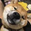 YUのプロフィール画像