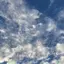 るーろのプロフィール画像