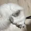 Yukoのプロフィール画像
