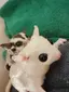 はるしおのプロフィール画像