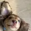 蓁蓁のプロフィール画像