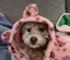 里咲のプロフィール画像