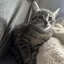 愛香のプロフィール画像